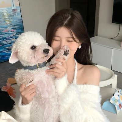我的猪队友